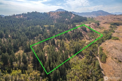 653B Ellemeham Mountain Rd, Oroville, WA 98844 - photo 6