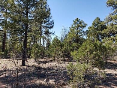 4180 Sugar Pine Loop