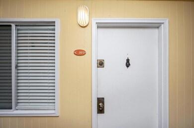 1-web-or-mls-The Cedars C305-01