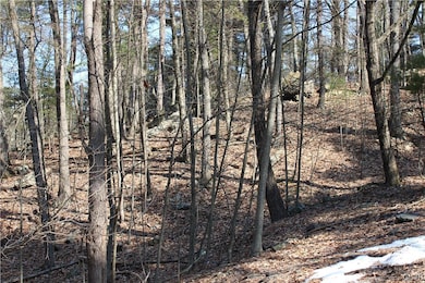 21 Deer Path, East Stroudsburg, PA 18302 - photo 5