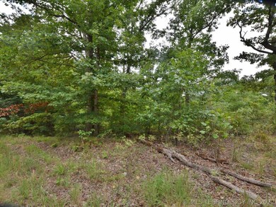 6355 N Big Feather Ridge Rd, Proctor, OK 74457 - photo 4