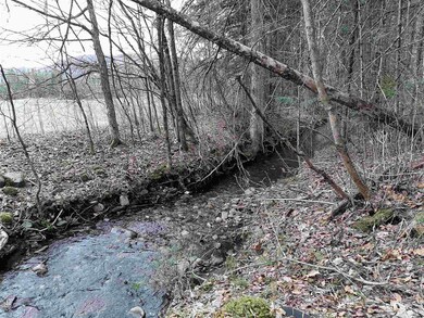 44 Collinswood Rd, Stewartstown, NH 03576 - photo 3