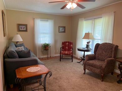 613 S Hazel Ave, Andrews, SC 29510 - photo 3