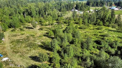 31208 Lebor Devore Rd E, Eatonville, WA 98328 - photo 7