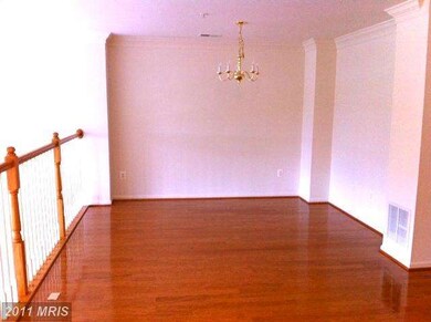 42219 Terrazzo Terrace, Stone Ridge, VA 20105 - photo 5