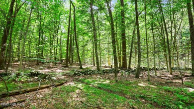 0 June Rd Stamford CT 06903-large-014-01