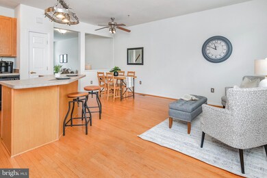 4113 Apple Leaf Ct, Pasadena, MD 21122 - photo 7