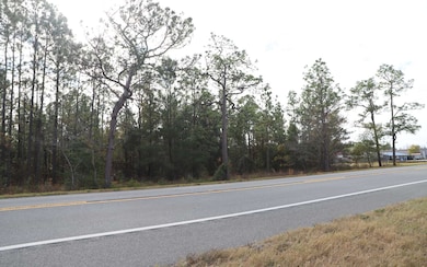 7049 State Road 21, Keystone Heights, FL 32656 - photo 6