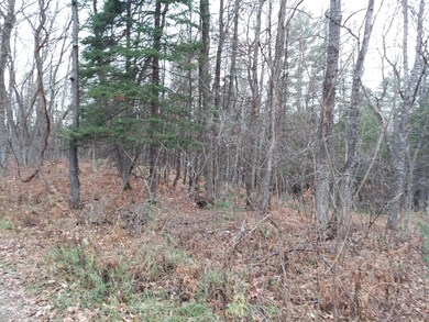 20201027_164506