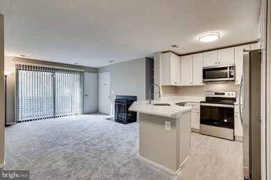 11739 Summerchase Cir unit 1739-A, Reston, VA 20194 - photo 5