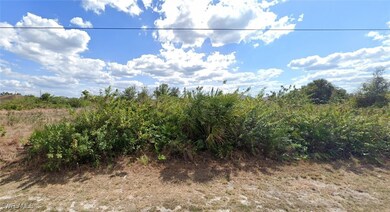 View of nature