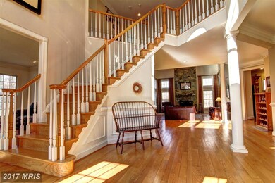 20401 Norman Place, Leesburg, VA 20175 - photo 5