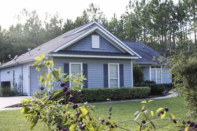 553 E Ivan Rd, Crawfordville, FL 32327 - photo 3