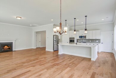 Kitchen and great room