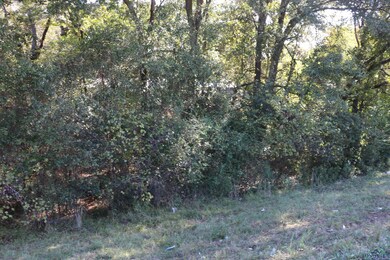 TBD E Webster St, Jefferson, TX 75657 - photo 6