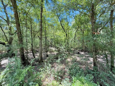 1056 Hempstead Church Rd, Pavo, GA 31778 - photo 5