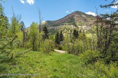 TBD Firehouse Rd, Redstone, CO 81623 - photo 6