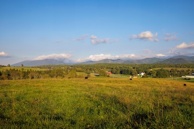 47 acres N Lee Hwy unit Rt. 11, Raphine, VA 24472 - photo 5