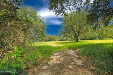 155 Glen Vincent Rd, Lucedale, MS 39452 - photo 2