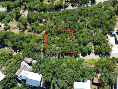 944 Olive Tree, Canyon Lake, TX 78133 - photo 2