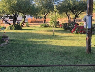 Mature shade trees