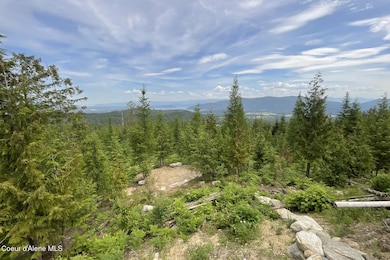 1728 Rugged Trail, Sagle, ID 83860 - photo 2