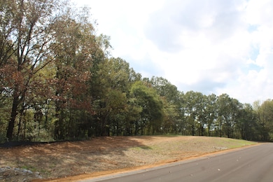 0 Smith Rd unit 25130754, Hernando, MS 38632 - photo 6