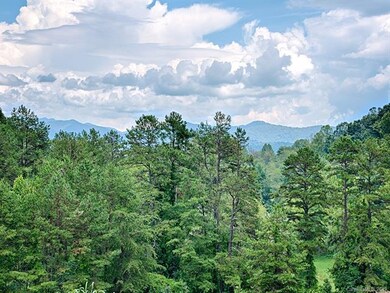 25 & 35 Magnolia Farms Dr unit 4 & 5, Asheville, NC 28806 - photo 7