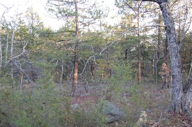 286 Peninsula Estates Ln, Kimberling City, MO 65686 - photo 6