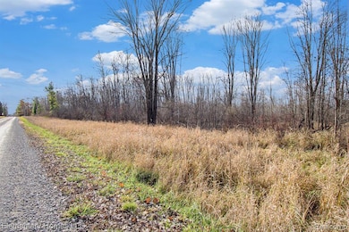 00 S Crawford Rd, Au Gres Township, MI 48749 - photo 6