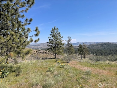 2 Hart Rd N, Davenport, WA 99122 - photo 5