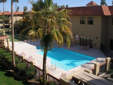 Heated pool and spa