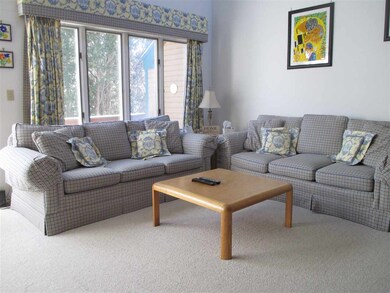 42 Tyler Spring Way unit 8, Waterville Valley, NH 03215 - photo 5