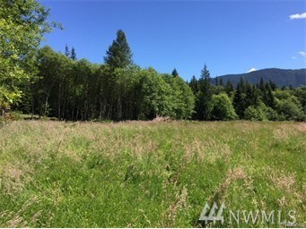 25411 Ebey Mountain Rd, Arlington, WA 98223 - photo 7