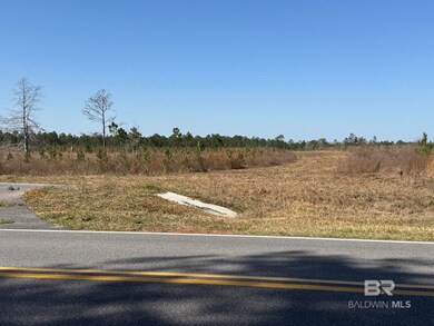 4 County Road 64 unit Lot 4, Robertsdale, AL 36567 - photo 6