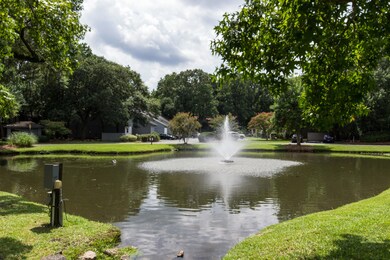 Pond