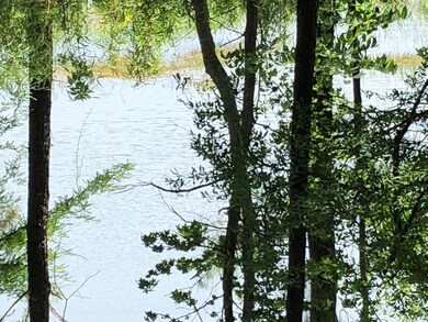 1281 County Road 755, Nacogdoches, TX 75964 - photo 4