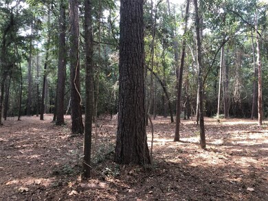 14 Pelican St, Magnolia, TX 77355 - photo 4