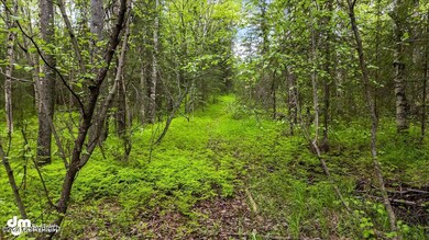 View down driveway