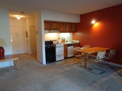 36 Lodge Rd unit C109, Lincoln, NH 03251 - photo 4