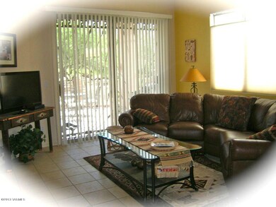 Patio View From Living Area
