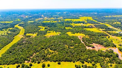 View Looking at Back of 15-acre Tract
