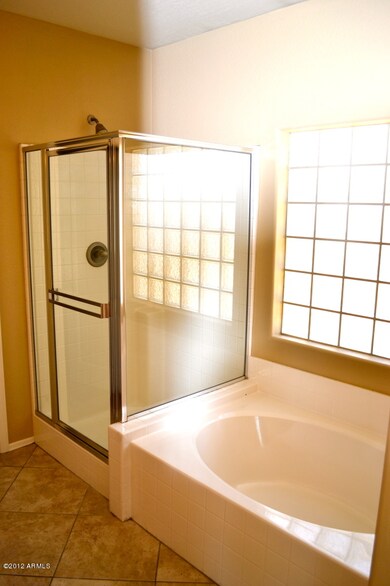 Master Tub and Shower