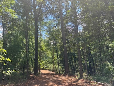 5301 Mt Pleasant Church Rd, Macon, GA 31216 - photo 6