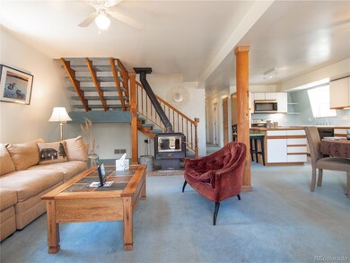 2903 S Spring Gulch Rd, Idaho Springs, CO 80452 - photo 3