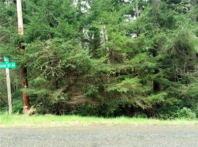 8812 Salal Dr unit AI, Anderson Island, WA 98303 - photo 3