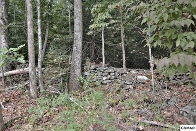Additional View 7