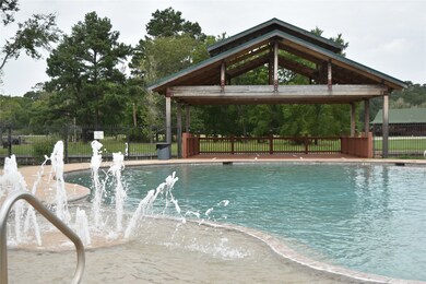 6 Lily Cove, Huntsville, TX 77340 - photo 3