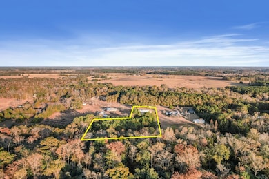 786 Saint Mary Rd, Dothan, AL 36301 - photo 4