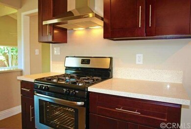 NEW Stainless steel gas stove with custom hood.